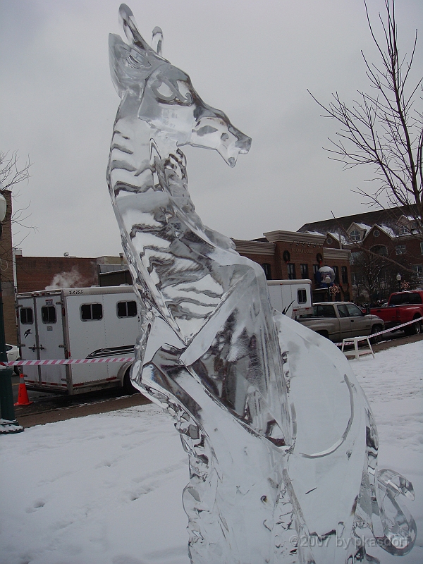 021 Plymouth Ice Show [2008 Jan 26].JPG - Scenes from the Plymouth, Michigan Annual Ice Show.